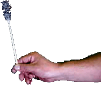 �X�e�����X����